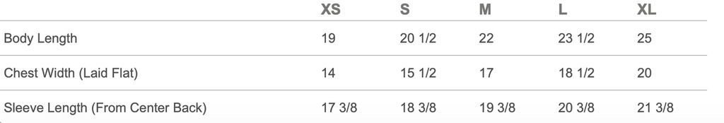 Youth Long Sleeve 2025 Playoff T-Shirt