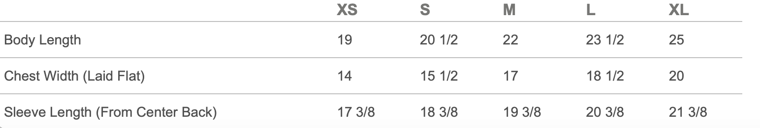 Youth Long Sleeve 2025 Playoff T-Shirt