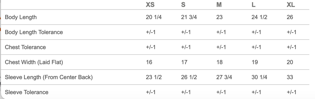 Youth Hoodie 2025 Playoff Sweatshirt